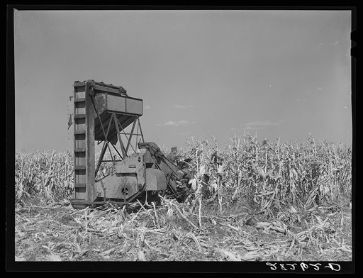 Mechanical corn picker. Robinson farm, Marshall County, Iowa