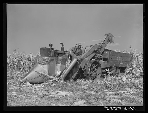 One-row mounted type of mechanical corn picker. Wayne Robinson farm, Marshall County, Iowa