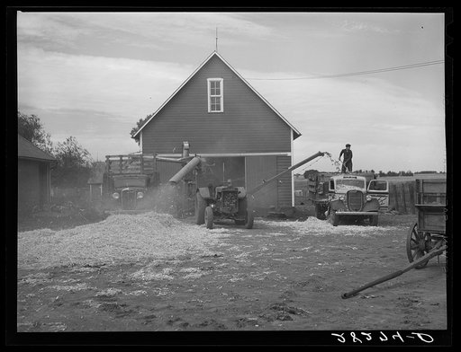 Shelling corn on the Slinker farm. Grundy County, Iowa