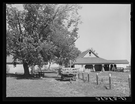 Hog feeding pen. Passmore farm, Polk County, Iowa
