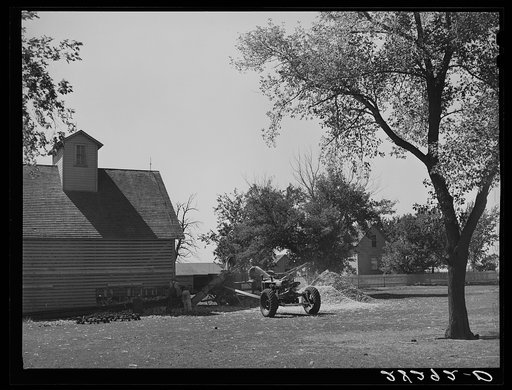 Untitled photo, possibly related to: Corn cobs piled up while shelling corn. These are used for fuel. Passmore farm, Polk County, Iowa
