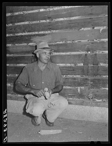 Untitled photo, possibly related to: Luther Passmore, farmer, with hybrid corn. Polk County, Iowa