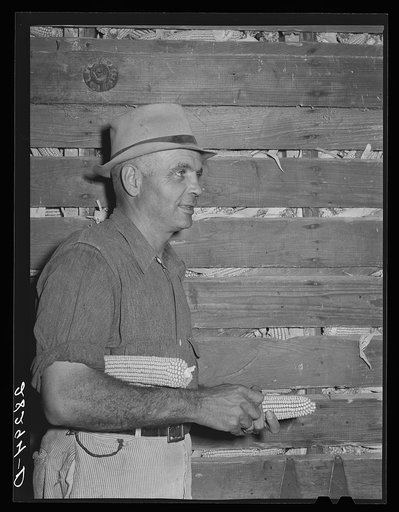 Luther Passmore, farmer, with hybrid corn. Polk County, Iowa