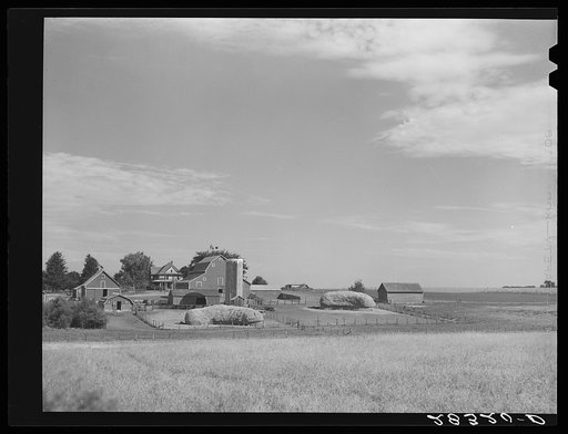 Farm. Grundy County, Iowa