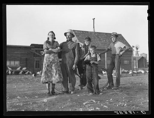 Fred Schmeeckle, FSA (Farm Security Administration) borrower, on his dryland farm in Weld County, Colorado