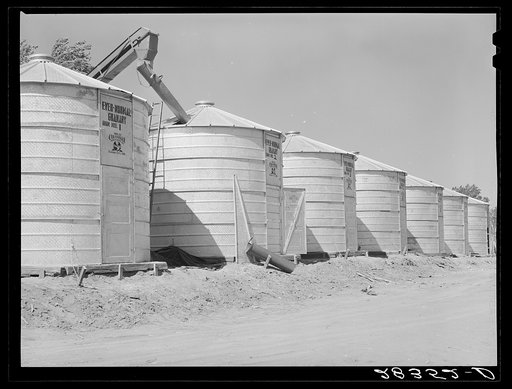 Newly-constructed field bins for storing shelled corn under ever-normal granary program. Woodbine, Iowa