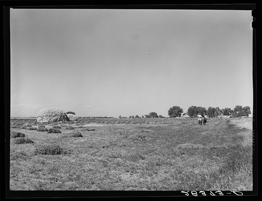 Scene on the farm of Andy Bahain, FSA (Farm Security Administration) borrower near Kersey, Colorado