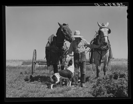 Andy Bahain, FSA (Farm Security Administration) borrower, on his farm near Kersey, Colorado