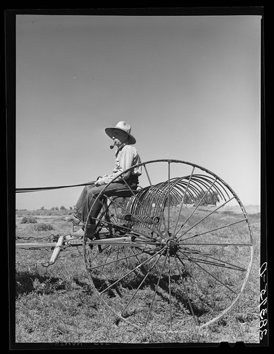 Andy Bahain on hay rack on his farm near Kersey, Colorado