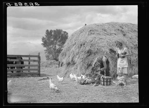Untitled photo, possibly related to: Mr. and Mrs. Howard Crowder and daughter, resettlement clients. San Luis Valley, Colorado