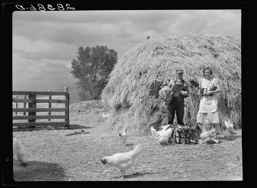 Untitled photo, possibly related to: Mr. and Mrs. Howard Crowder and daughter, resettlement clients. San Luis Valley, Colorado