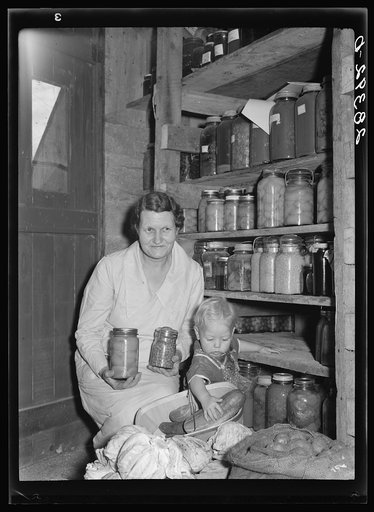 Mrs. Calvin Brown, wife of FSA (Farm Security Administration) borrower, and grandson with fruit preserved on their farm. Weld County, Colorado