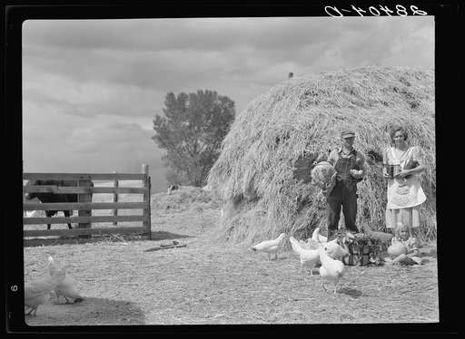 Untitled photo, possibly related to: Mr. and Mrs. Howard Crowder and daughter, resettlement clients. San Luis Valley, Colorado