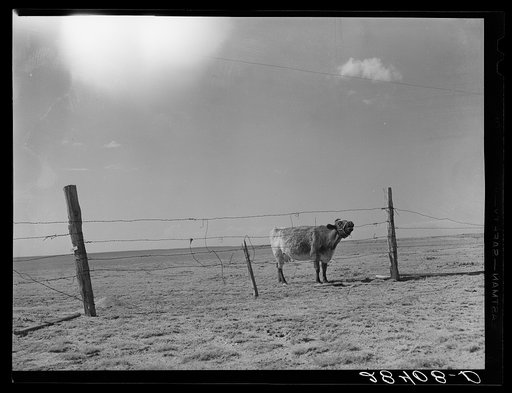 Arid land. Weld County, Colorado