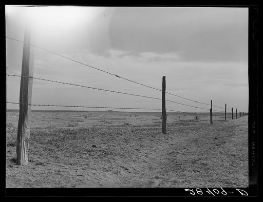 Untitled photo, possibly related to: Barbed wire fence on arid land. Weld County, Colorado