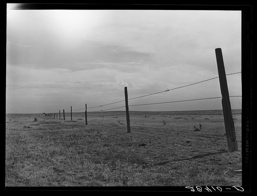 Barbed wire fence on arid land. Weld County, Colorado