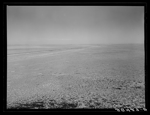 Untitled photo, possibly related to: Arid land. Weld County, Colorado
