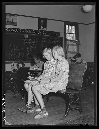 The two members of the fifth grade in Louis Slinker's one-room schoolhouse. Grundy County, Iowa