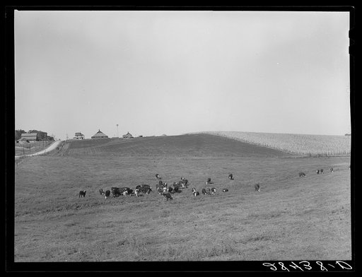Farm. Marshall County, Iowa