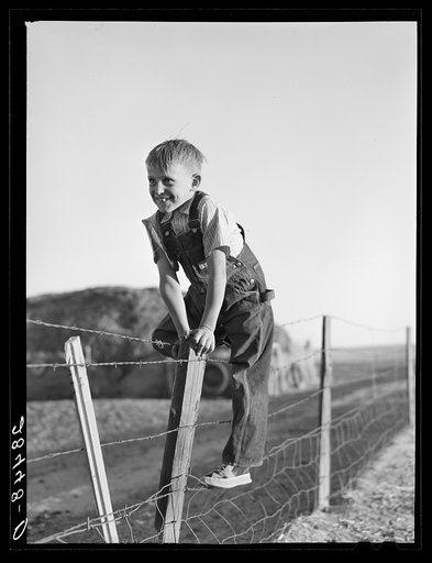 Son of Fred Schmeeckle, FSA (Farm Security Administration) borrower, on dry-land farm in Weld County, Colorado