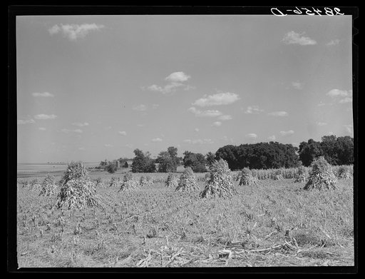 Farm. Grundy County, Iowa