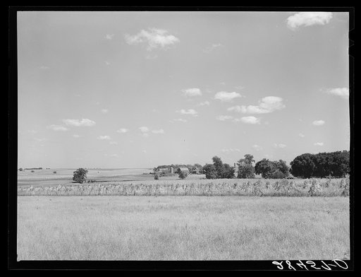 Farm. Grundy County, Iowa