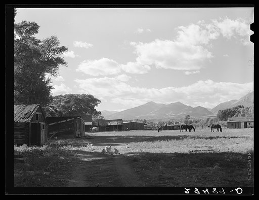 Untitled photo, possibly related to: Shocks of grain at foothills of Rocky Mountains. Fremont County, Colorado