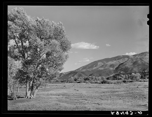 Pasture in foothills of Rocky Mountains. Fremont County, Colorado