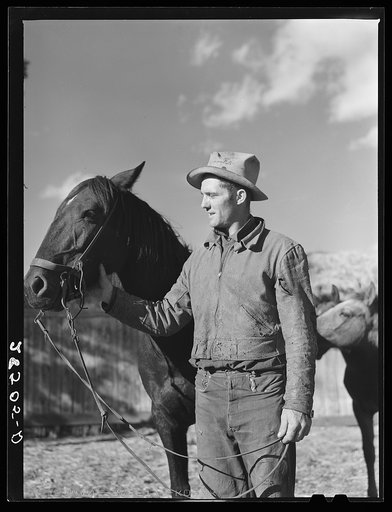 Ellsworth Painter, FSA (Farm Security Administration) rehabilitation client, Chaffee County, Colorado, with horses