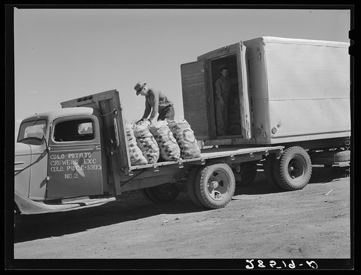 Loading potatoes into insulated truck for interstate shipment. Monte Vista, Colorado