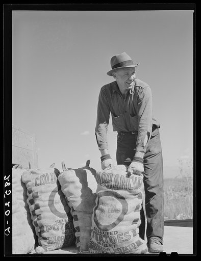 Farmer with load of potatoes. Monte Vista, Colorado