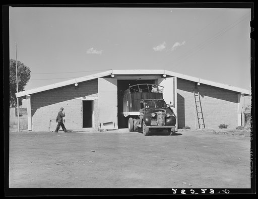 Truck loading potatoes at storage cellar. Monte Vista, Colorado