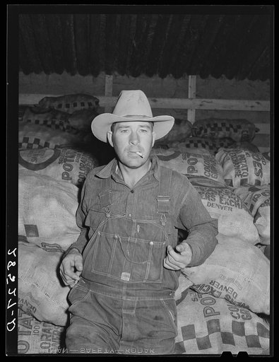 Farmer in potato cellar. Monte Vista, Colorado