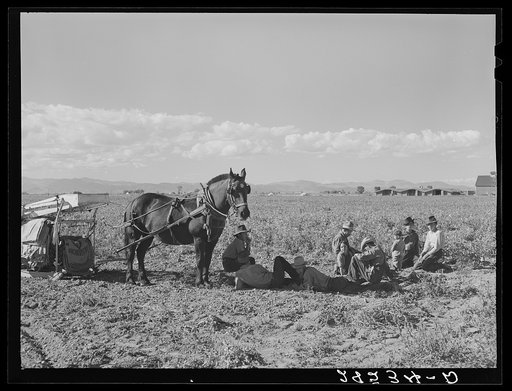 Spanish-American potato pickers at rest. Rio Grande County, Colorado