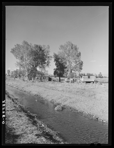 Migrant potato pickers' shacks near irrigation ditch. Rio Grande County, Colorado