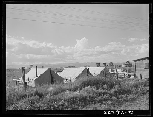 Migrant potato pickers' tents. Rio Grande County, Colorado