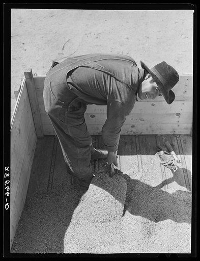 Spanish American farm laborer. Costilla County, Colorado