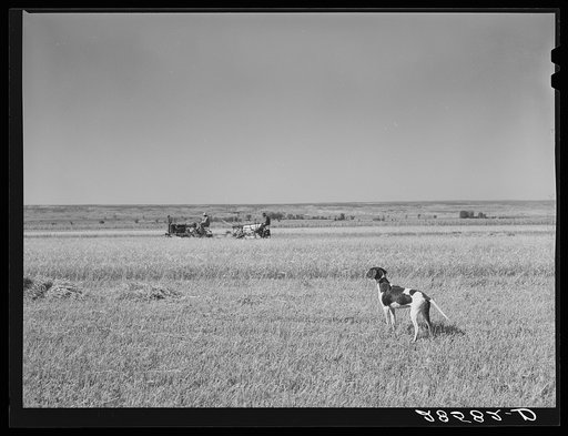 Western Slope Farms, Colorado