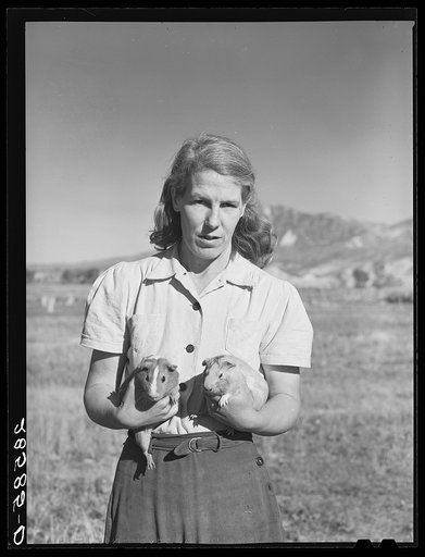 Mrs. Tom Reilly, wife of FSA (Farm Security Administration) rehabilitation borrower, with guinea pigs. Near Hotchkiss, Colorado
