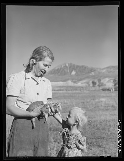 Mrs. Tom Reilly, wife of FAS (Farm Security Administration) rehabilitation client, with daughter and guinea pigs. Near Hotchkiss, Colorado