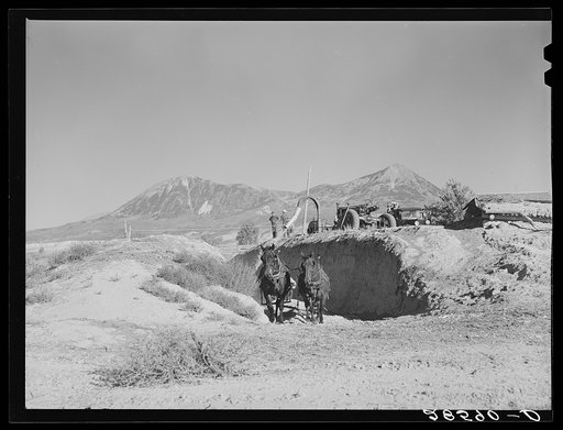 Filling a trench silo. Montrose County, Colorado