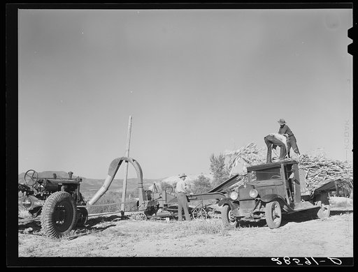 Filling a trench silo. Montrose County, Colorado