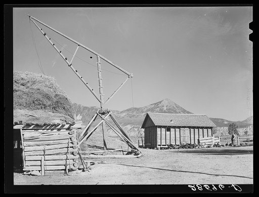 Farm scene with Tom Reilly, FSA (Farm Security Administration) borrower. Near Hotchkiss, Colorado