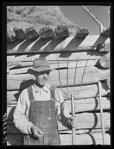 Tom Reilly, FSA (Farm Security Administration) rehabilitation client on his farm near Hotchkiss, Colorado