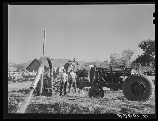 Filling a trench silo. Montrose County, Colorado