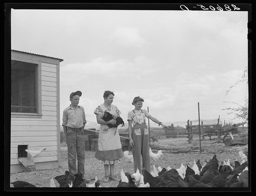 Mrs. Thomas Beede with her son Wayne and daughter Margaret and chickens. Western Slope Farms, Colorado