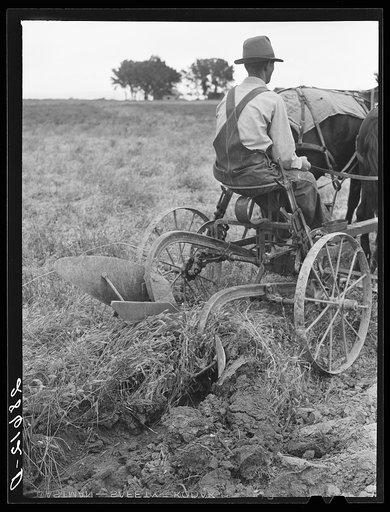 Alfred Peterson, tenant purchase borrower, plowing on his farmstead. Mesa County, Colorado