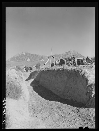 Filling a trench silo. Montrose County, Colorado