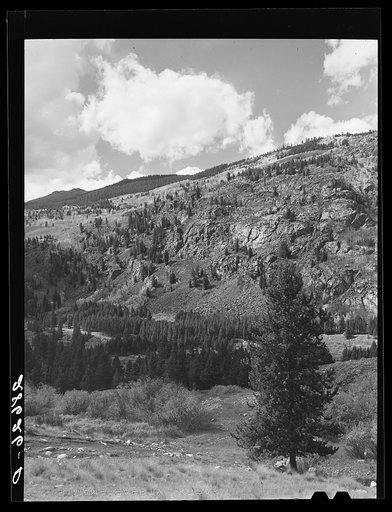 Mountain view. Eagle County, Colorado