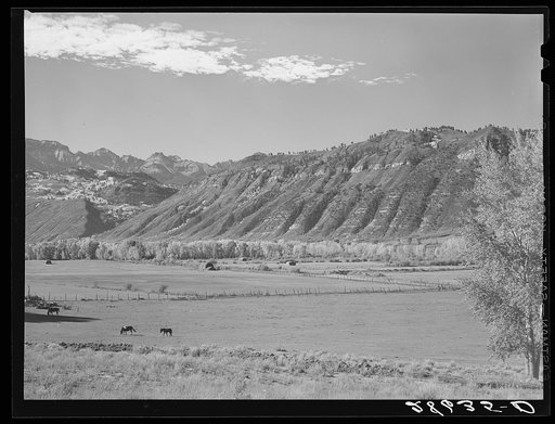 Farm at foothills of Rocky Mountains. Ouray County, Colorado